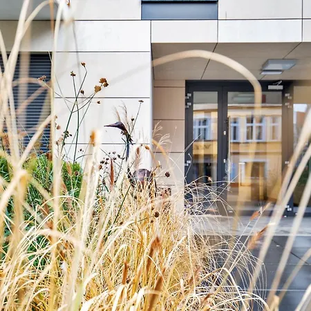 Premium Lissa By Renters *