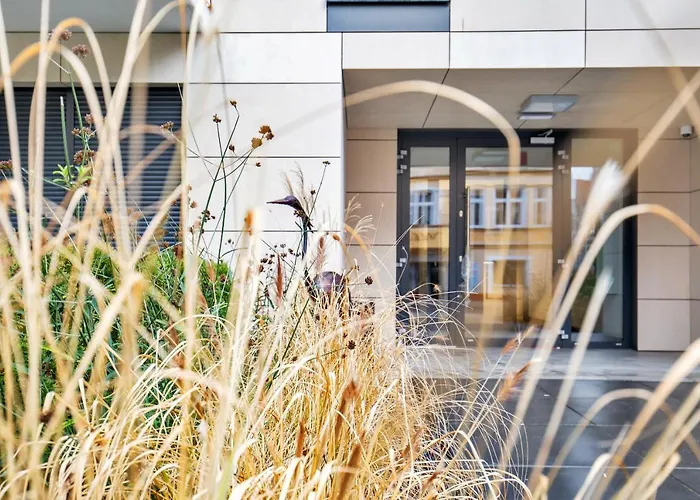 Premium Lissa By Renters *